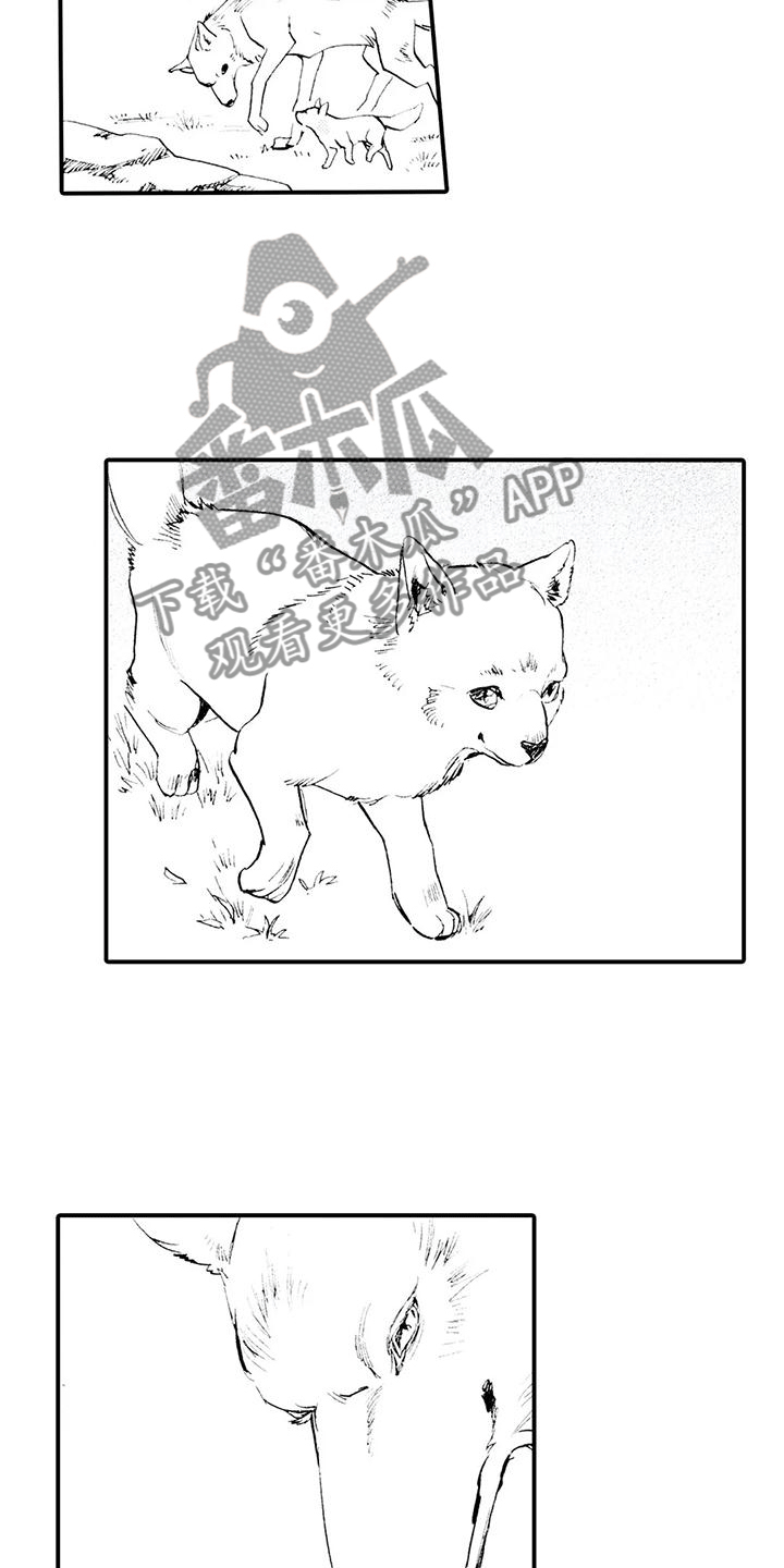 第29章：一定会回去12
