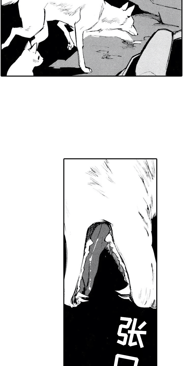 第2章：缘由11