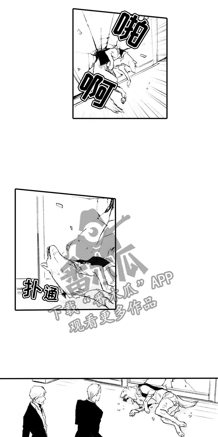 第28章：失去理智12