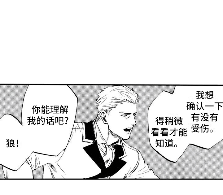 第3章：你能理解吧？14