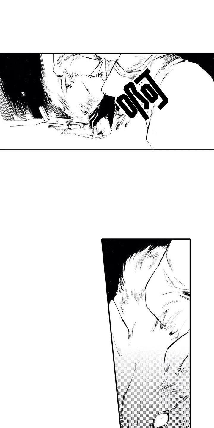第2章：缘由14