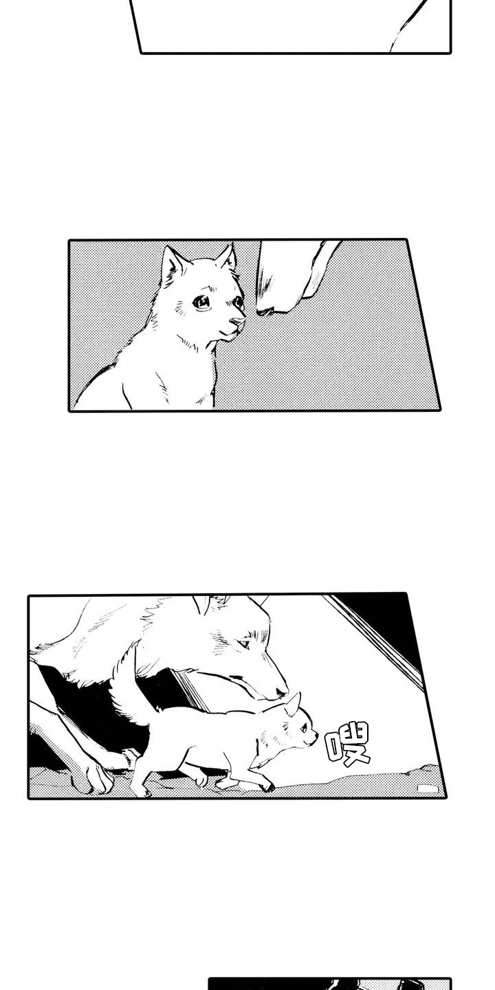 第2章：缘由8