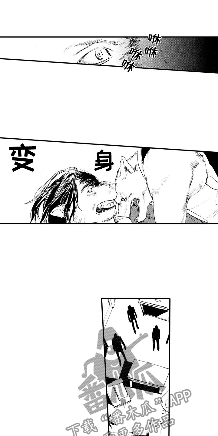 第28章：失去理智6