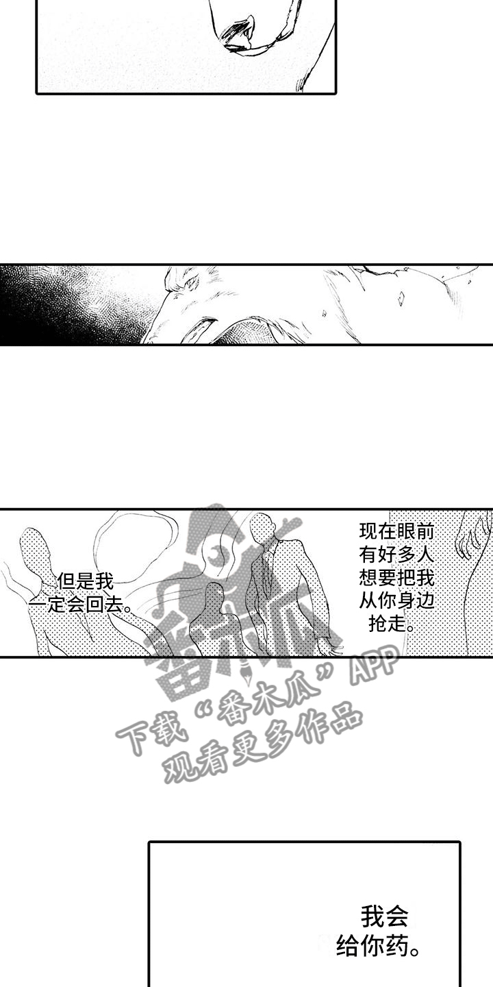 第29章：一定会回去13
