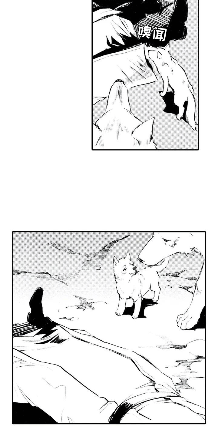 第2章：缘由9