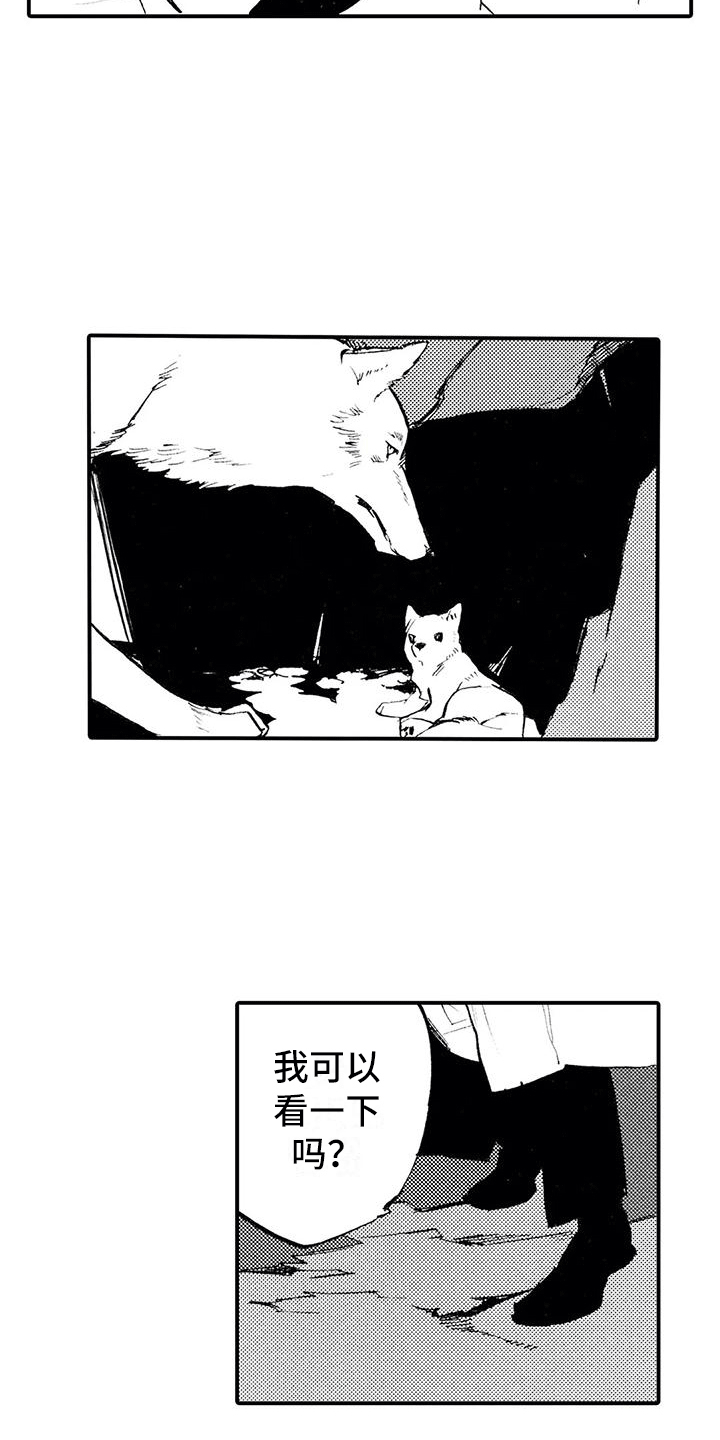 第3章：你能理解吧？13