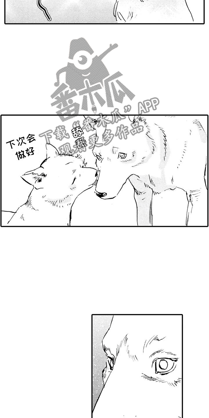 第31章：都是他干的15