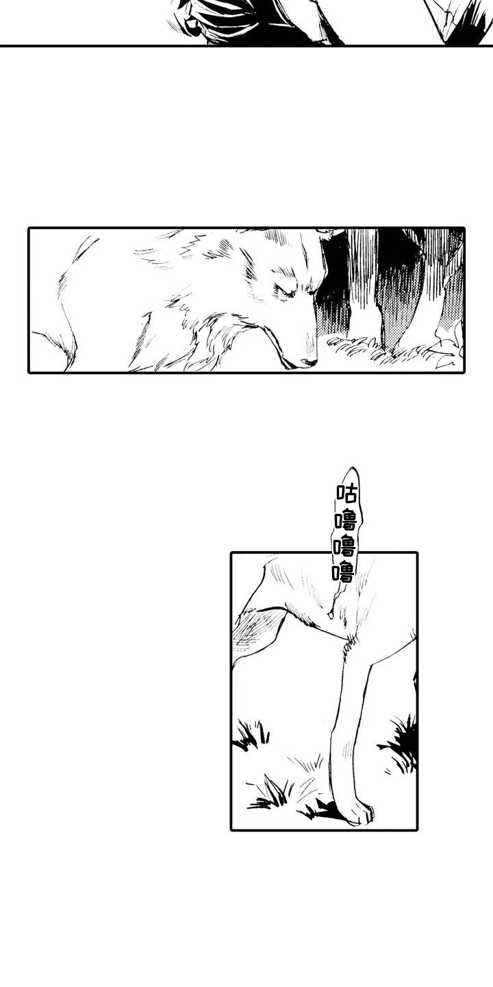 第1章：狼捡了人9