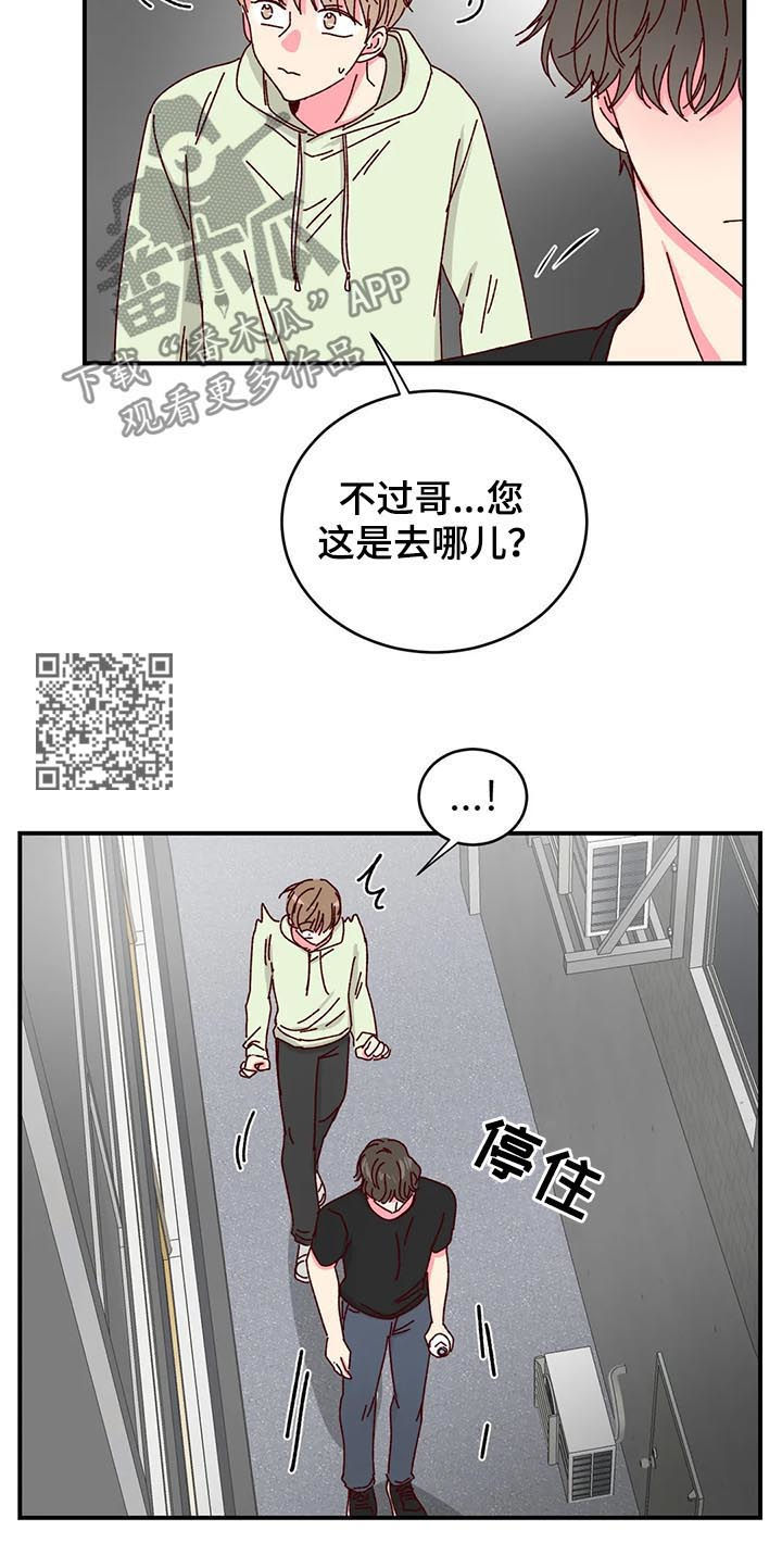 第40章：喂猫5