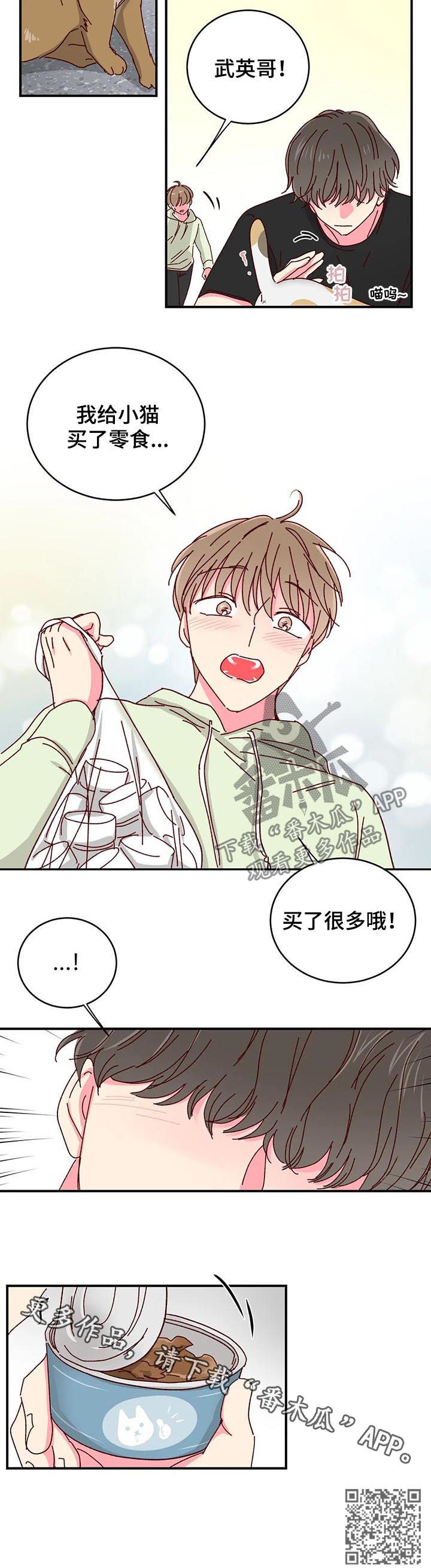 第40章：喂猫10