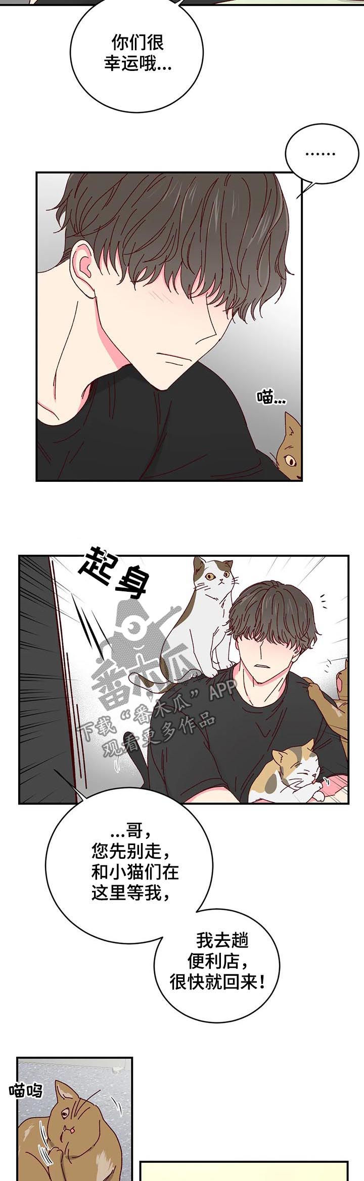 第40章：喂猫9