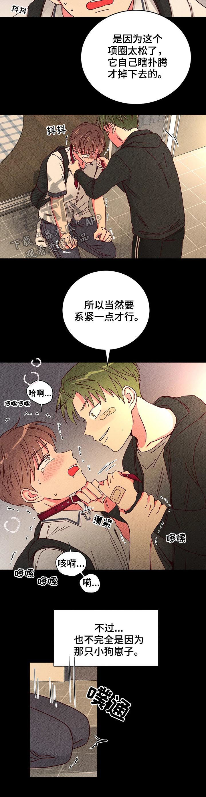 第52章：有好戏看6