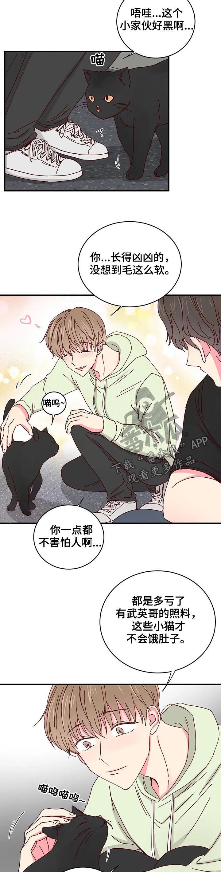 第40章：喂猫8