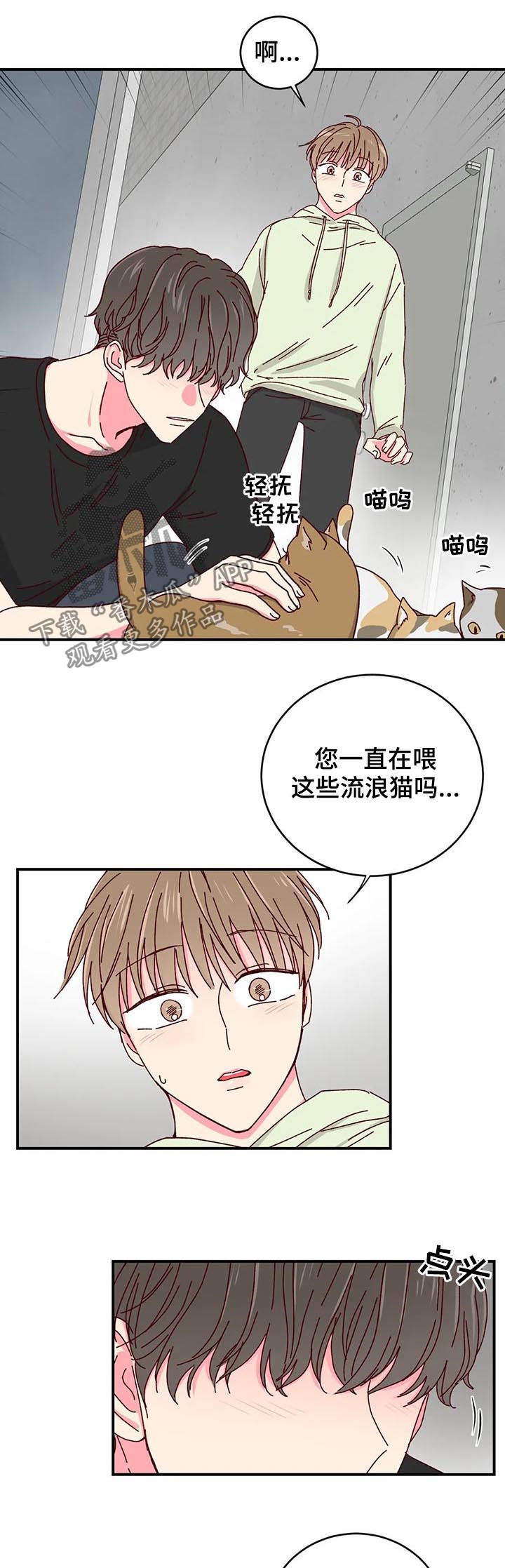 第40章：喂猫7