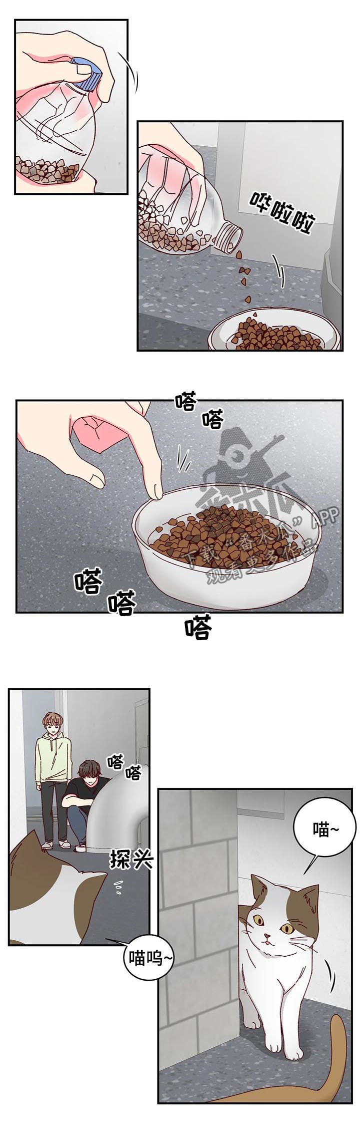 第40章：喂猫6