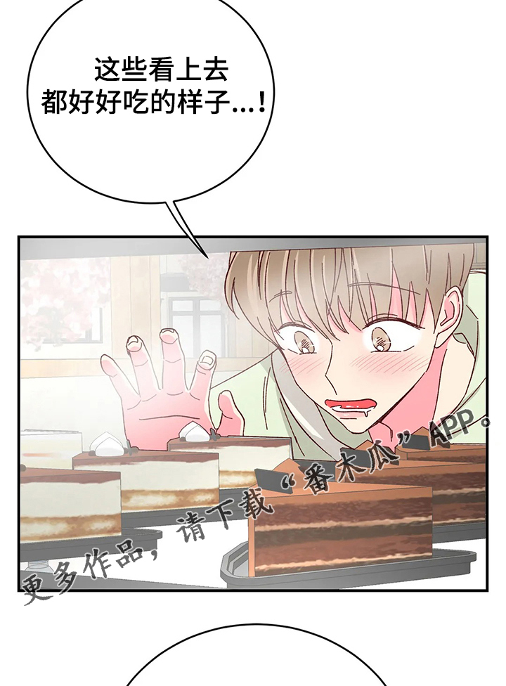 第103章：【第二季】回以甜蜜蛋糕2