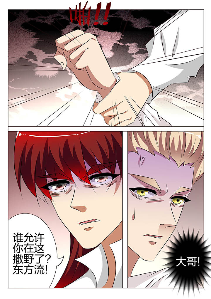 第135章：5