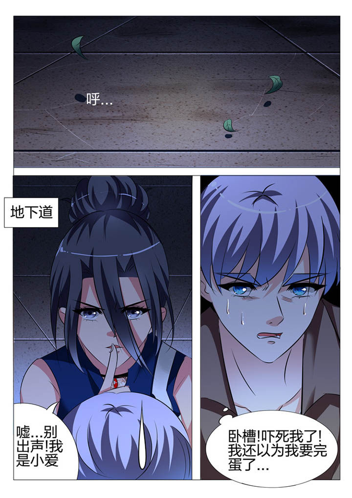 第116章：9
