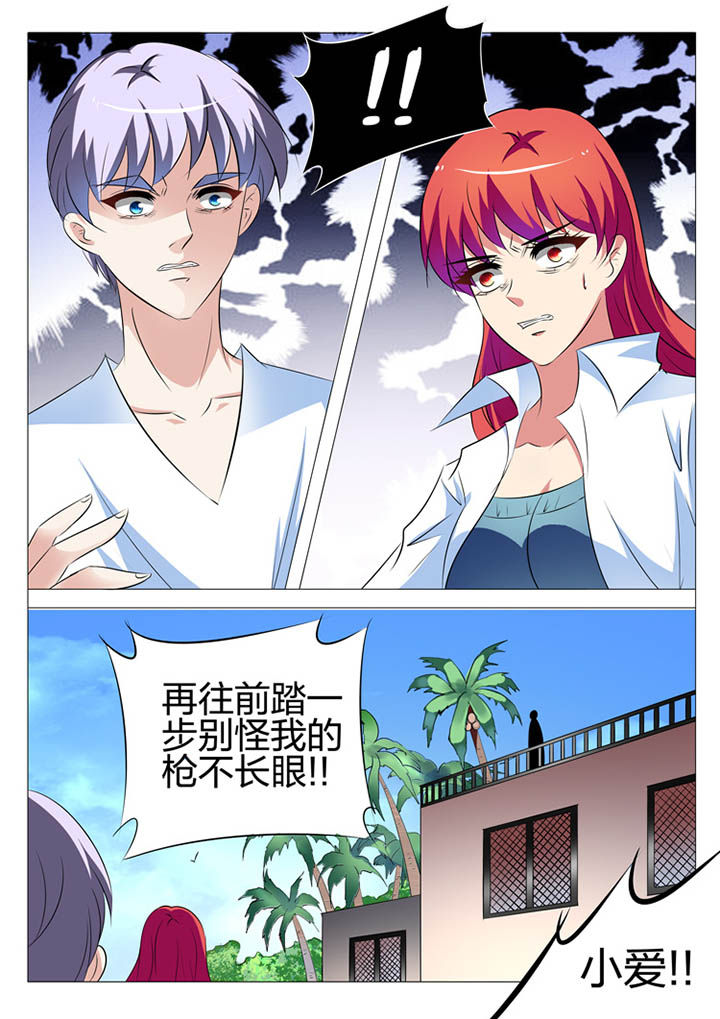 第146章：3