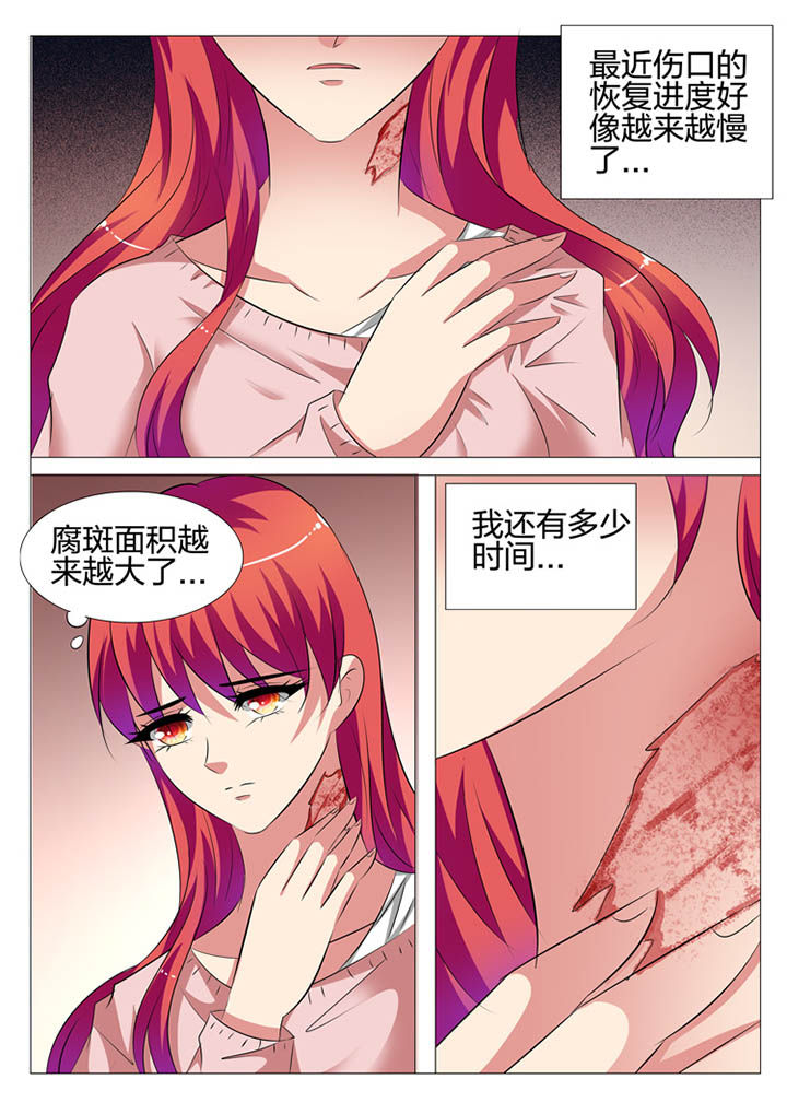 第116章：3