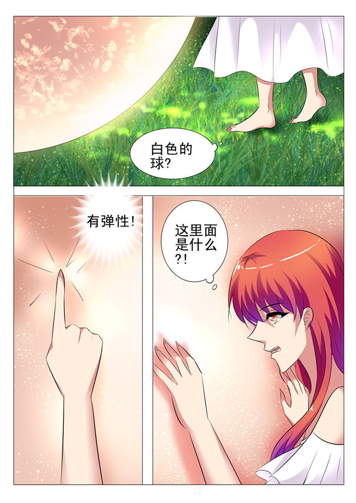 第67章：5