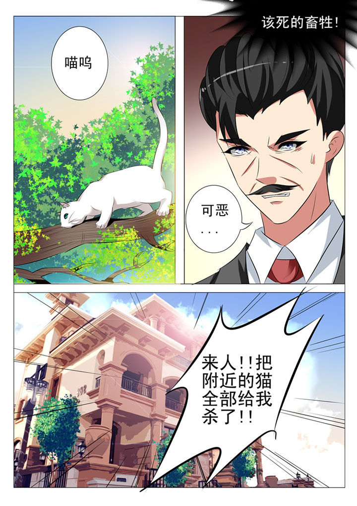 第87章：8