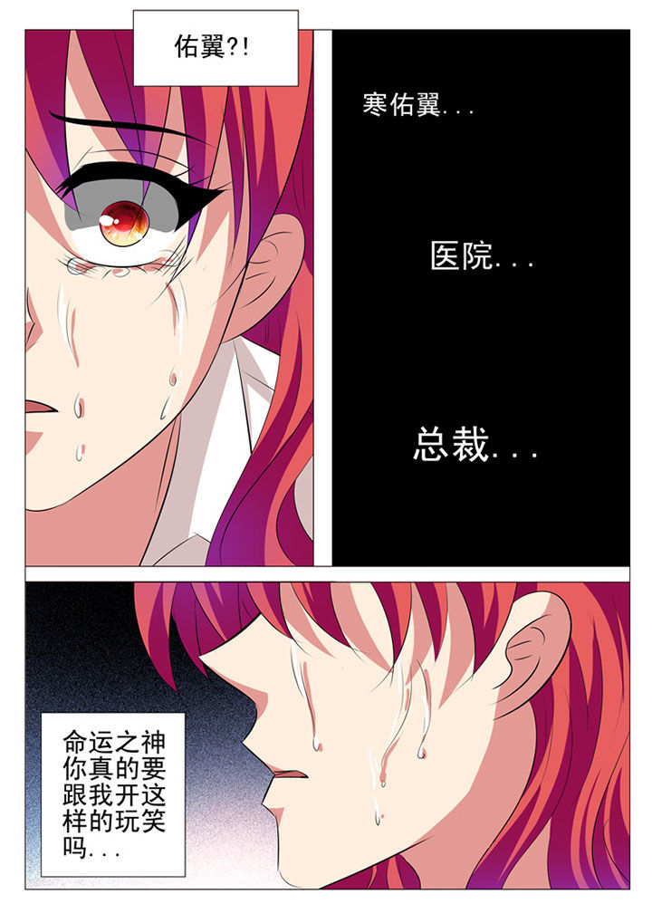 第41章：8