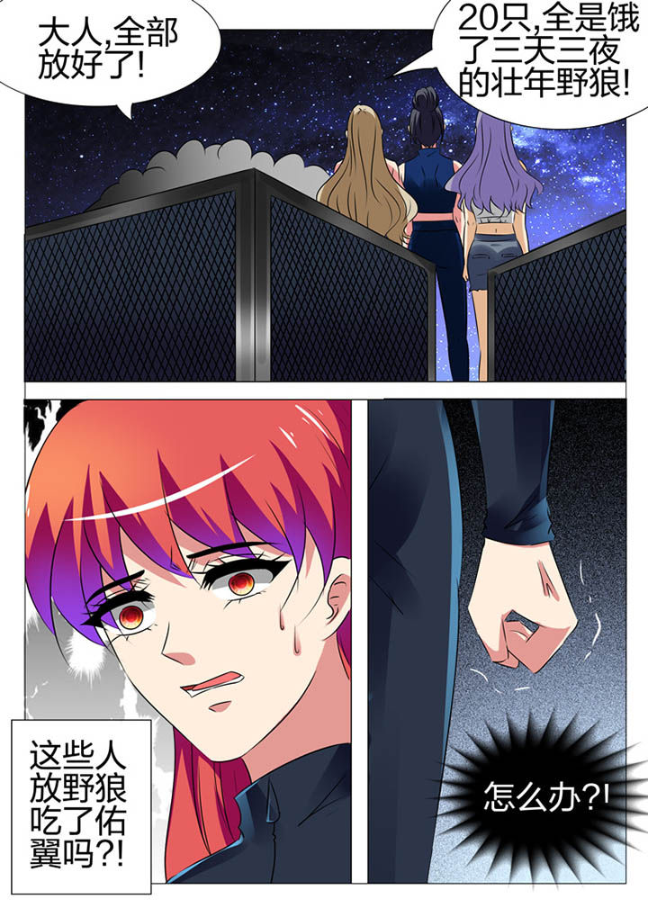 第169章：13