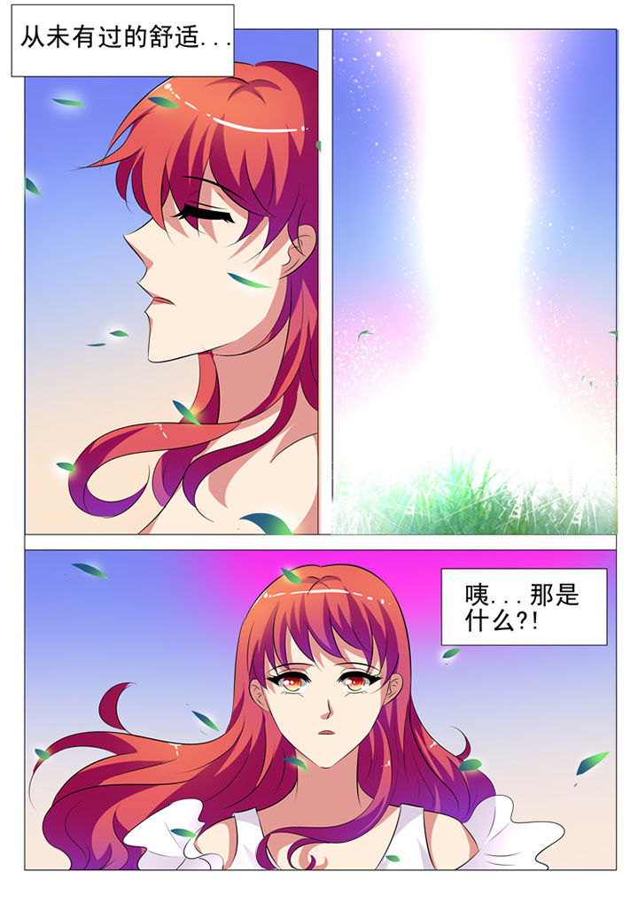 第67章：4