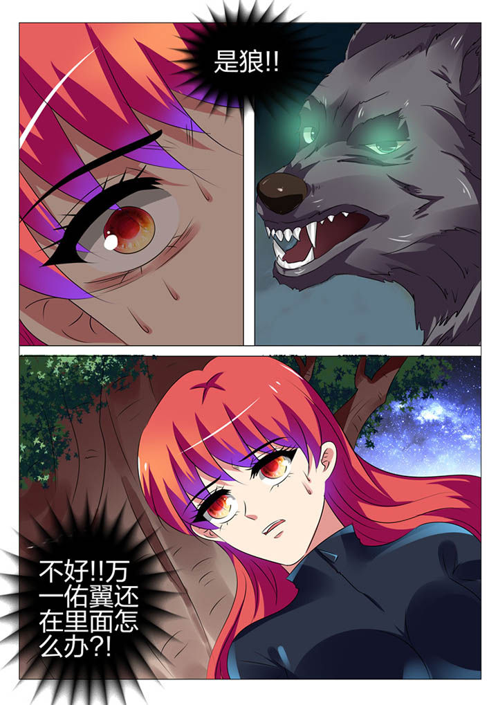 第169章：8