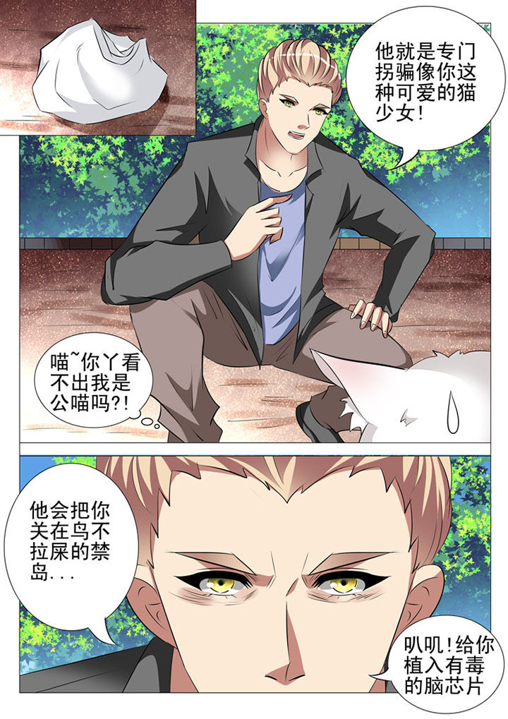 第87章：13