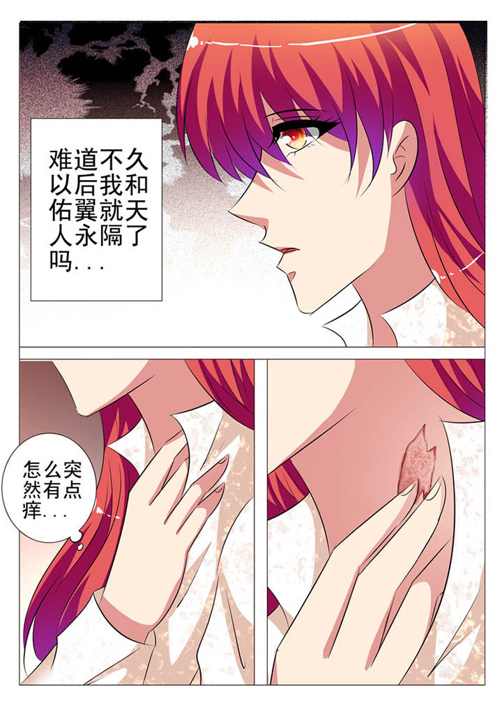 第104章：9