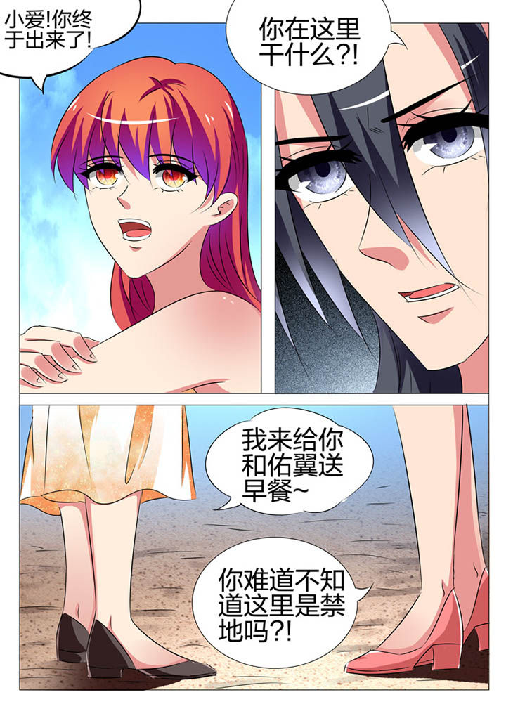 第161章：6