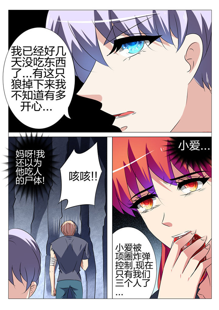 第176章：3
