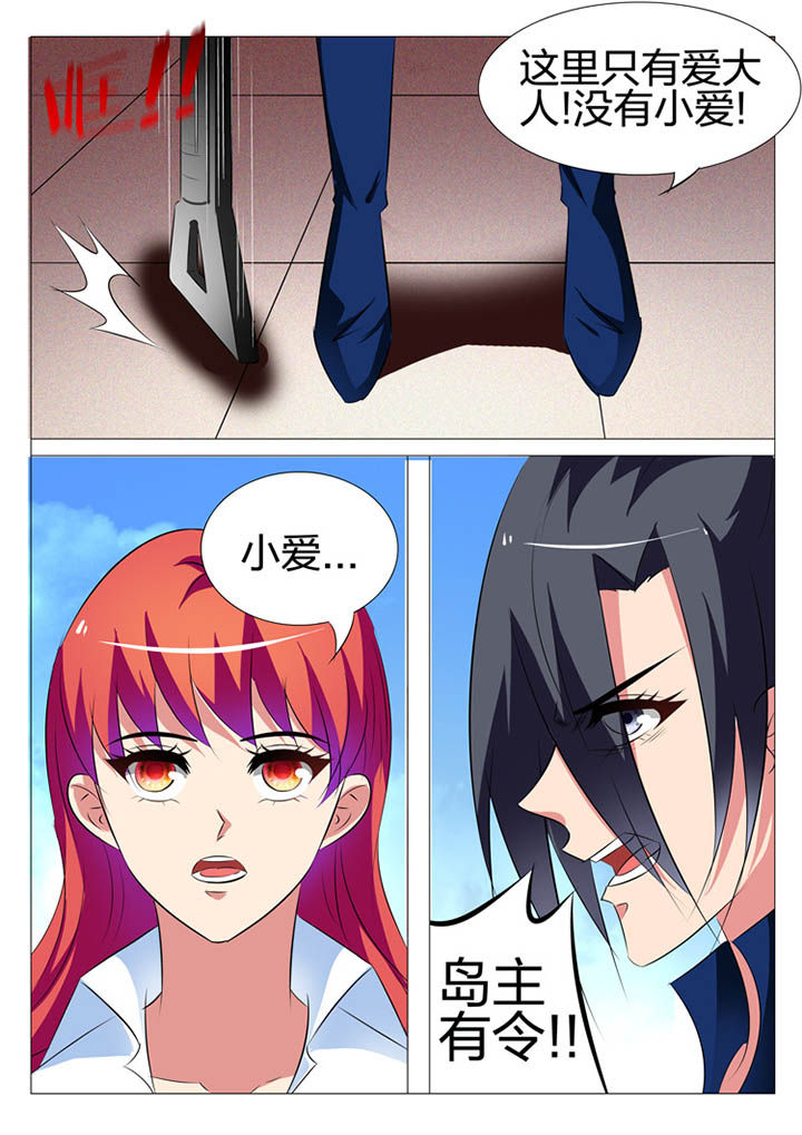 第146章：5