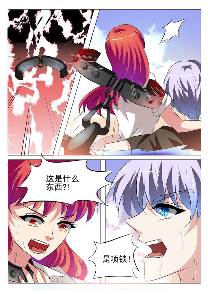 第36章：6