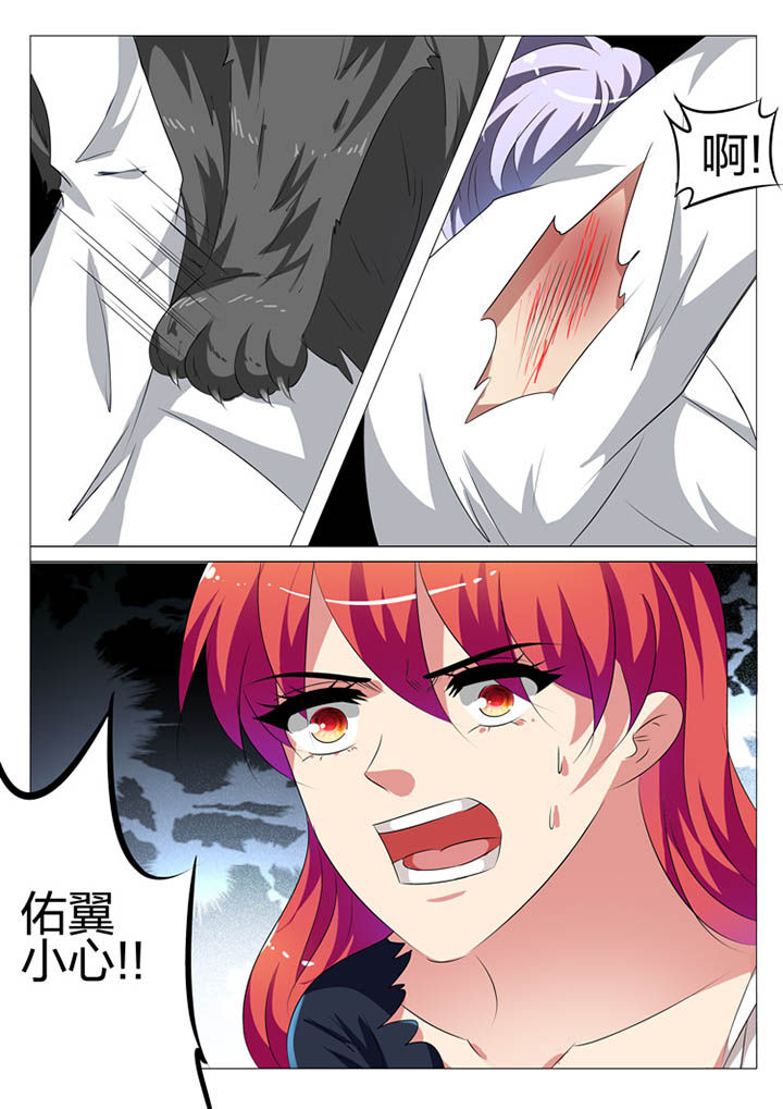 第174章：3