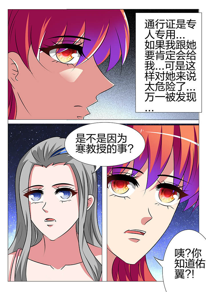 第151章：11