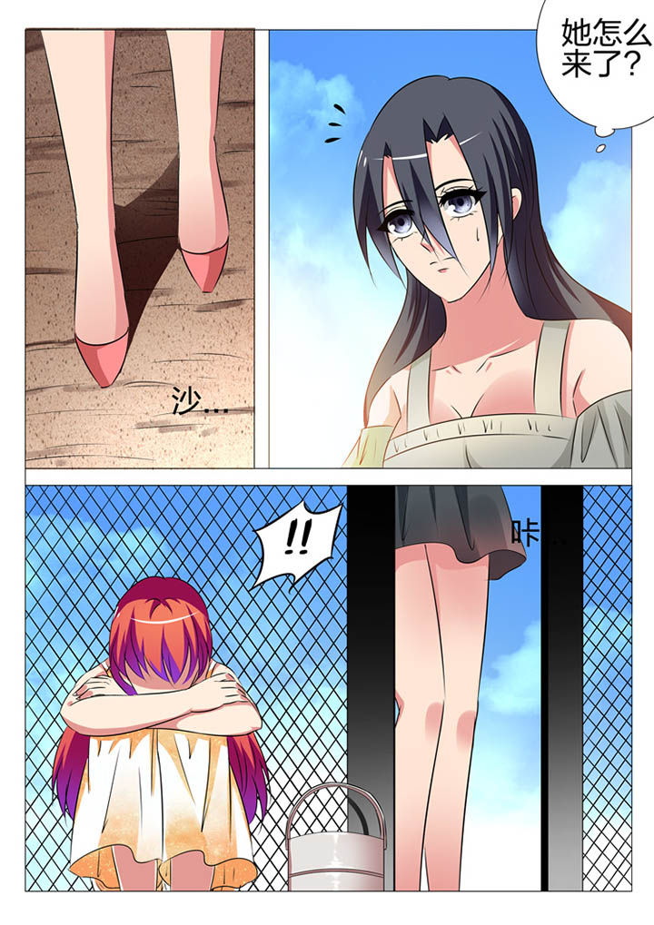 第161章：5