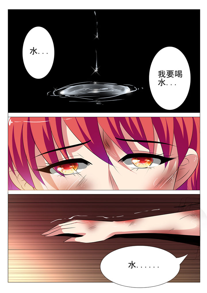 第40章：3
