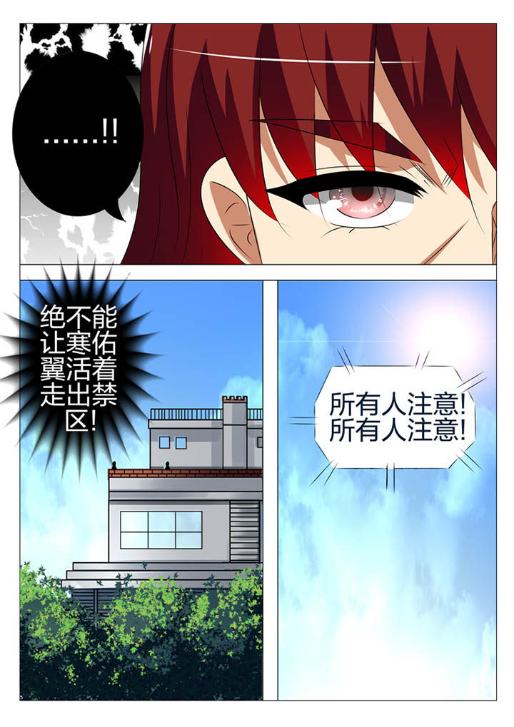 第170章：5