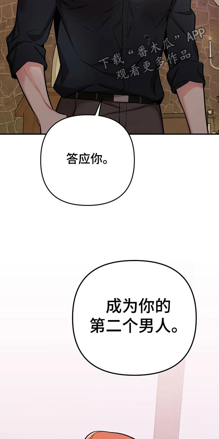 第29章：第二个男人28
