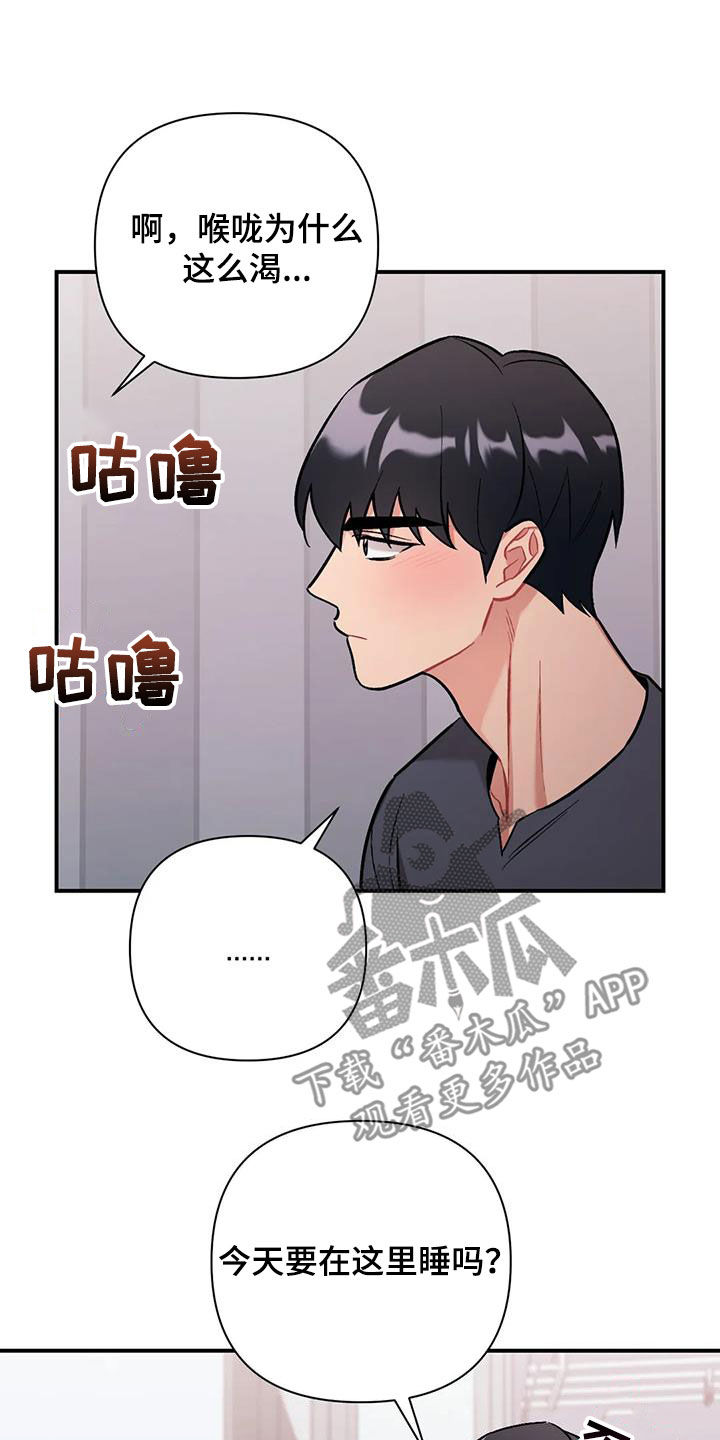 第41章：我喜欢你17