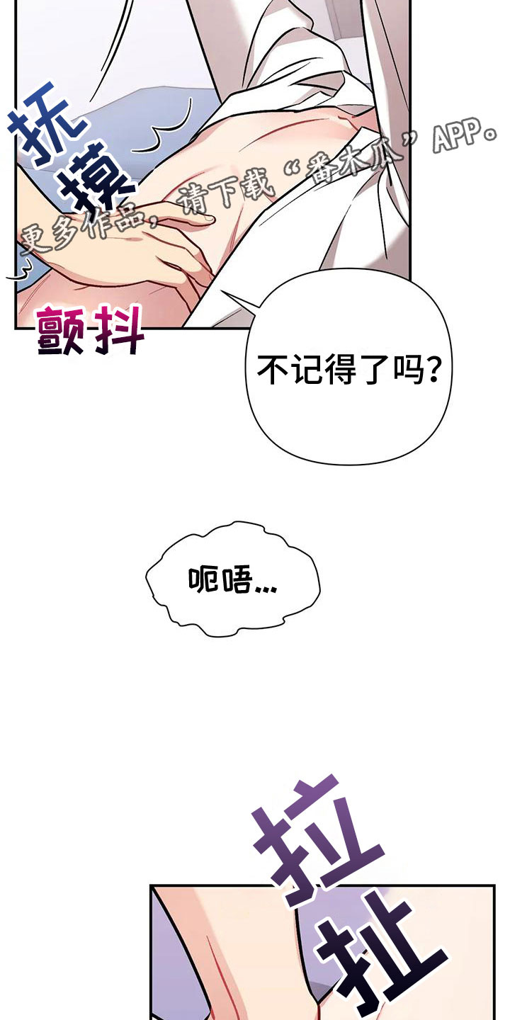 第12章：目击23