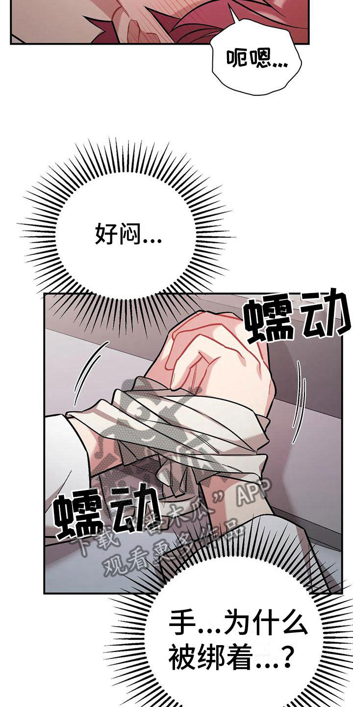 第12章：目击17