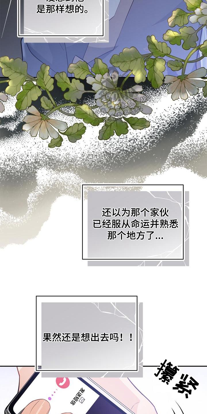 第59章：不用管7