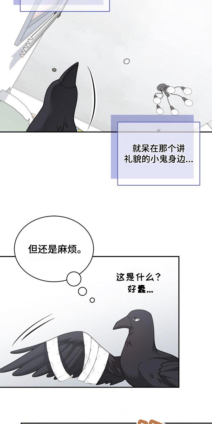 第70章：【第二季】说话的鸟10
