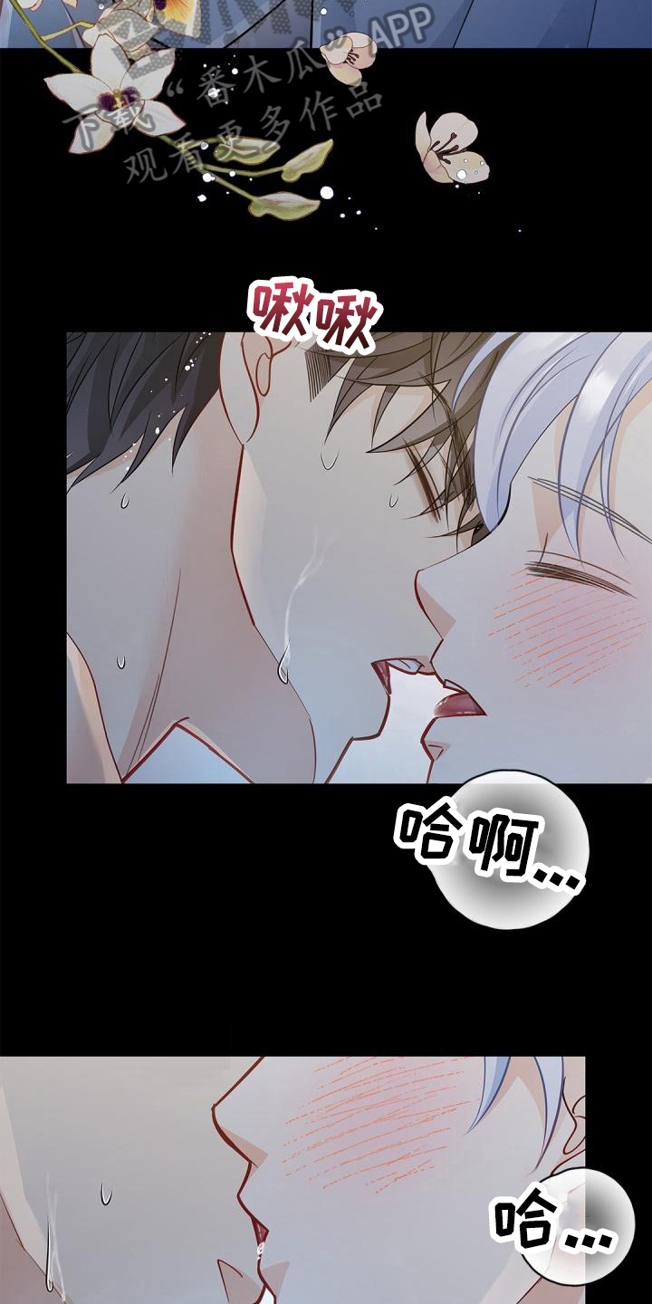 第52章：适可而止18