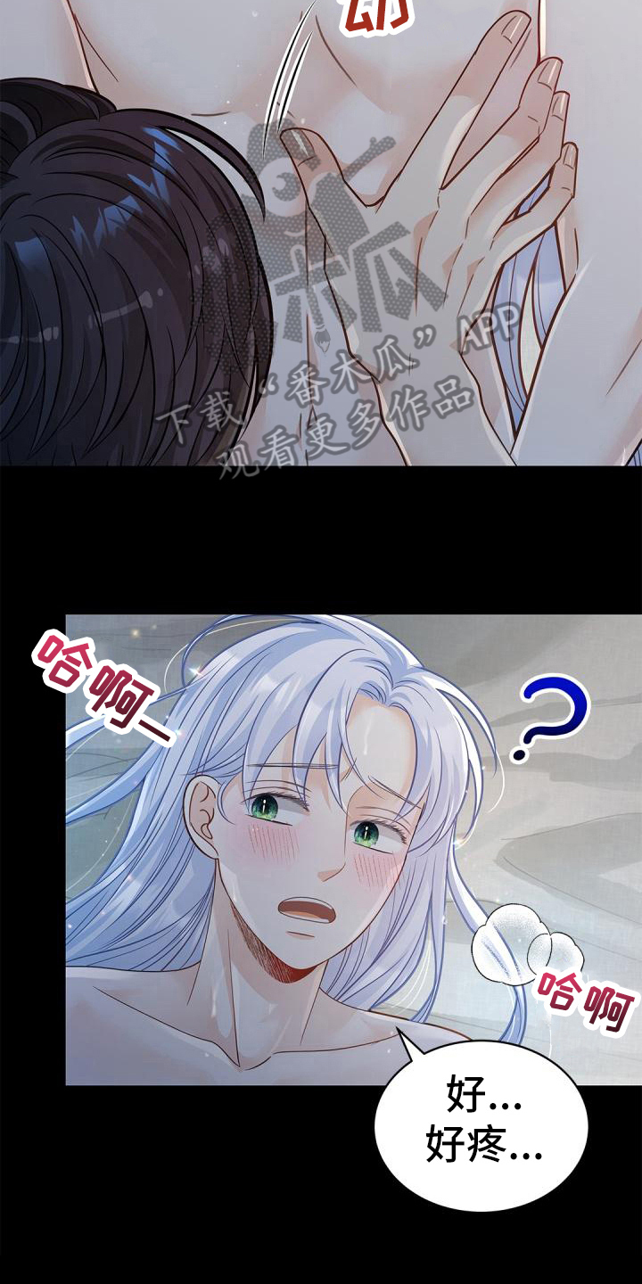 第54章：真心2