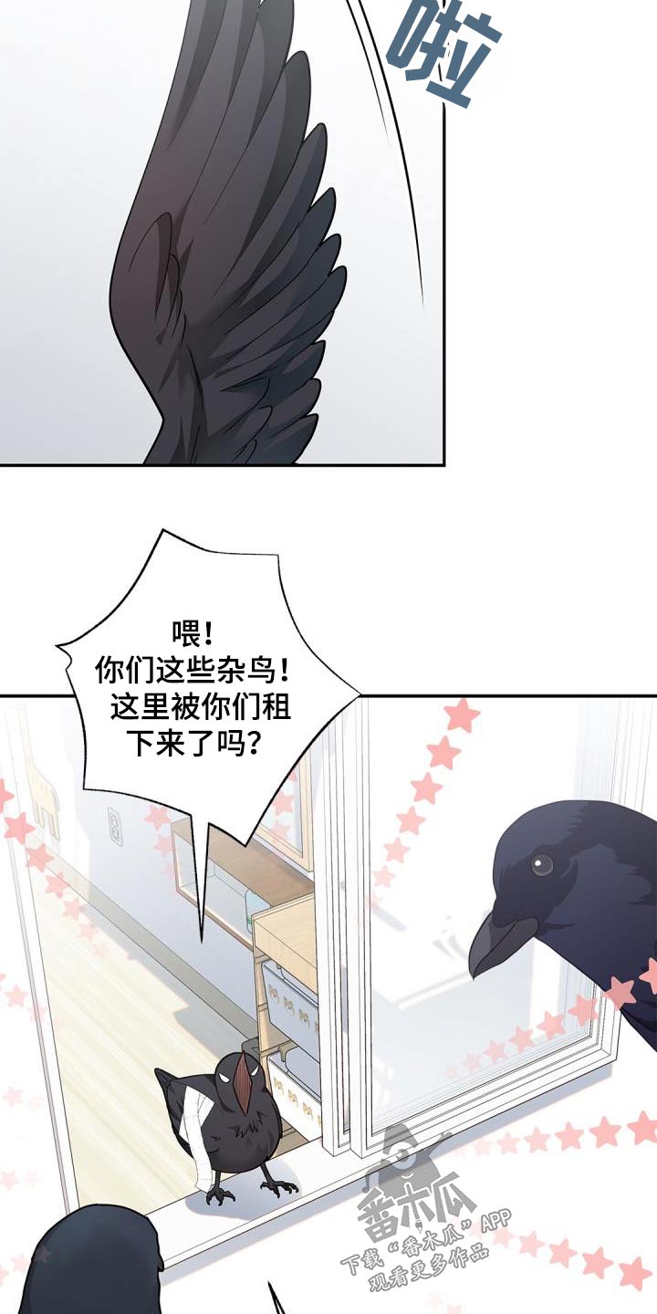 第70章：【第二季】说话的鸟6